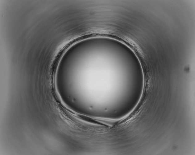 X0000090611027200707241102