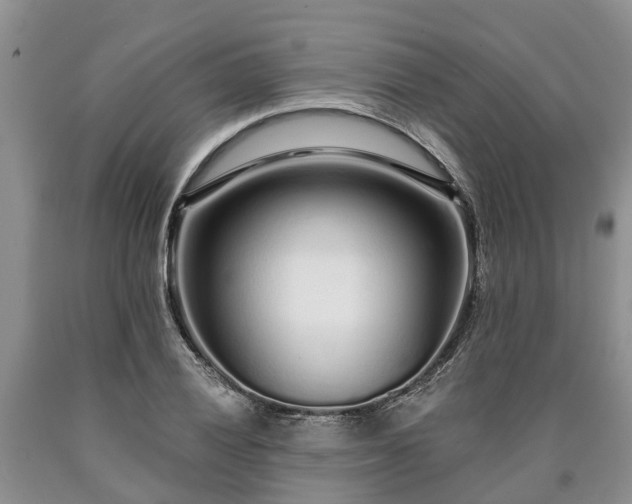 X0000090611028200707241102