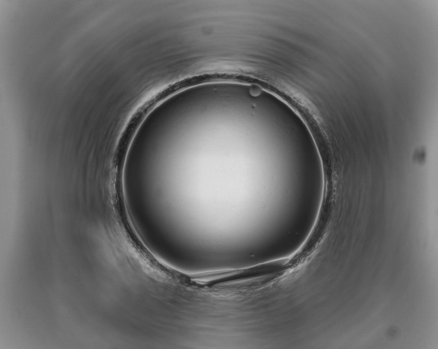 X0000090611029200707241102