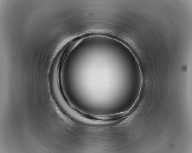 X0000090611030200707241102