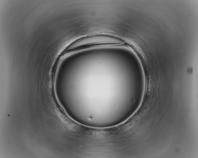 X0000090611031200707241102