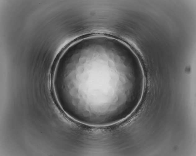 X0000090611032200707241102