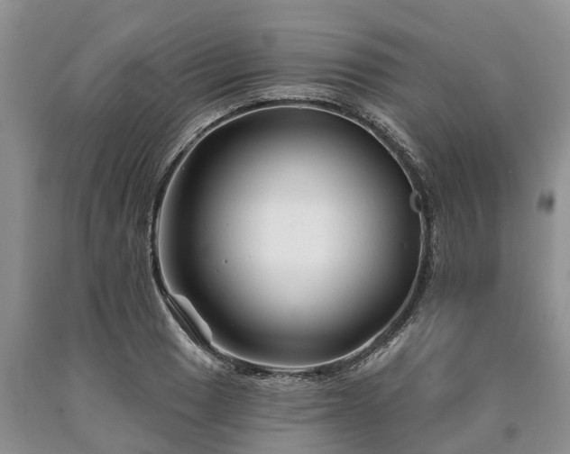 X0000090611033200707241102