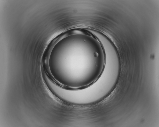 X0000090611034200707241102