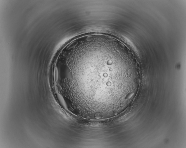 X0000090611035200707241102