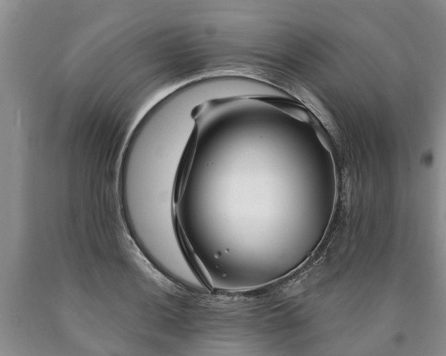 X0000090611036200707241102