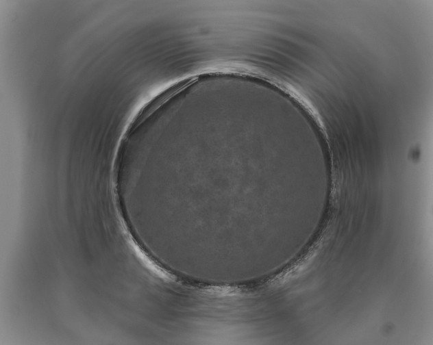 X0000090611037200707241102