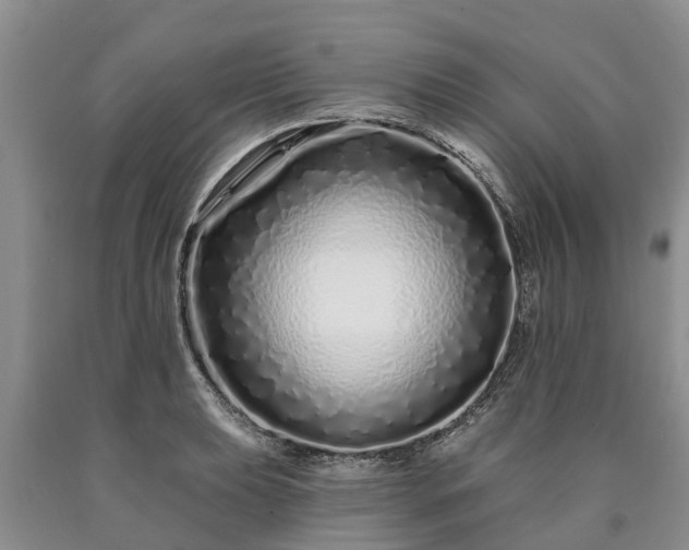 X0000090611039200707241102