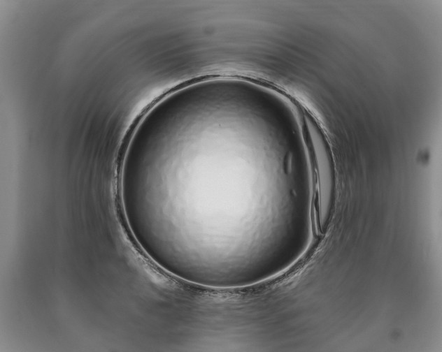 X0000090611040200707241102