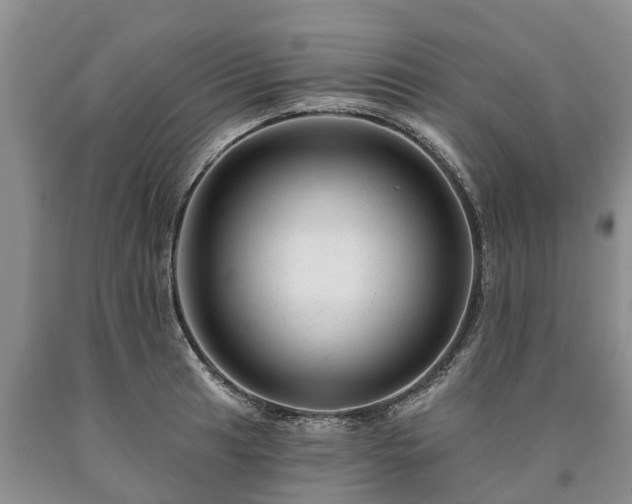 X0000090611041200707241102