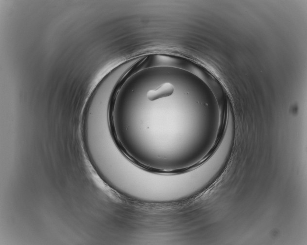 X0000090611042200707241102