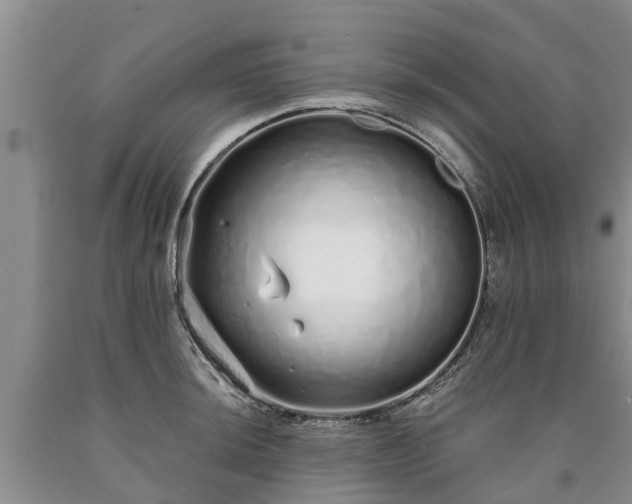 X0000090611044200707241102