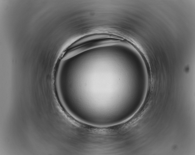 X0000090611045200707241102