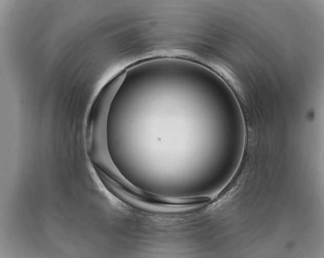 X0000090611046200707241102