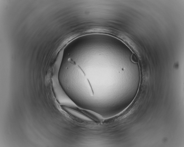 X0000090611049200707241102