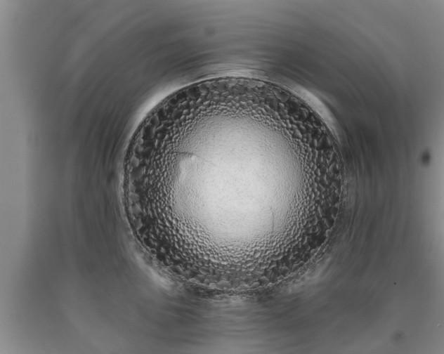 X0000090611051200707241102