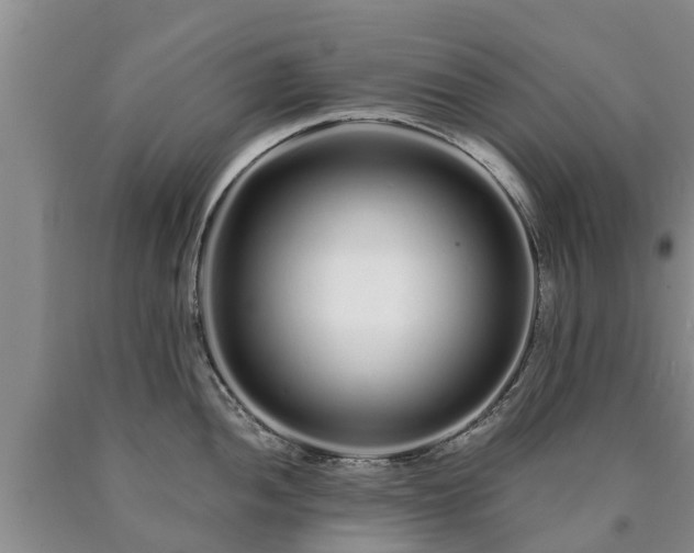 X0000090611052200707241102