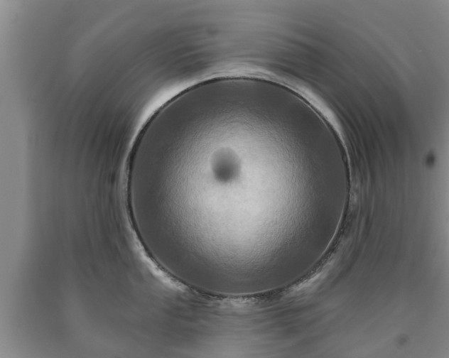 X0000090611053200707241102