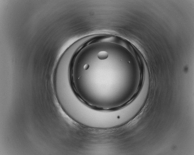 X0000090611054200707241102