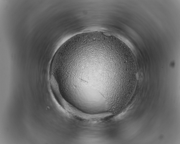 X0000090611055200707241102