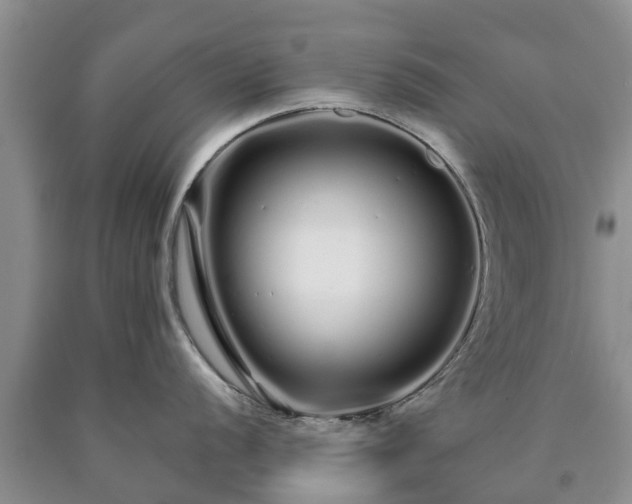 X0000090611056200707241102