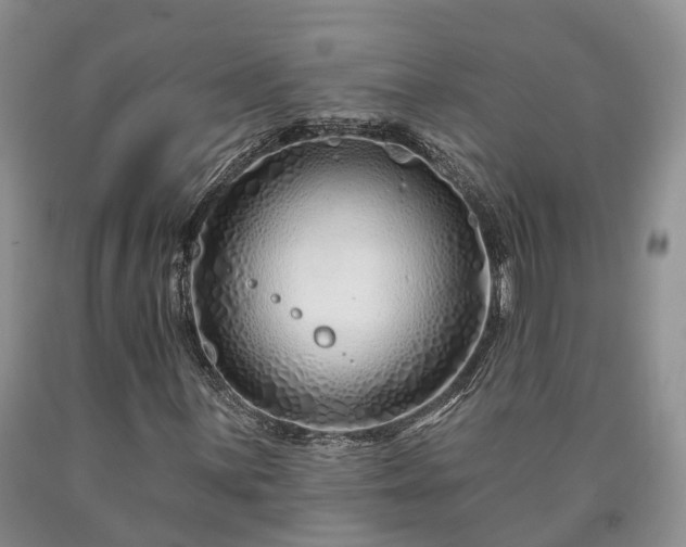 X0000090611059200707241101