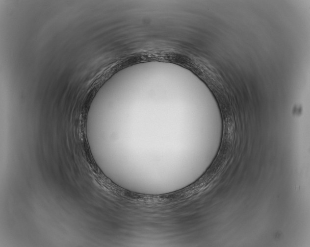 X0000090611060200707241101