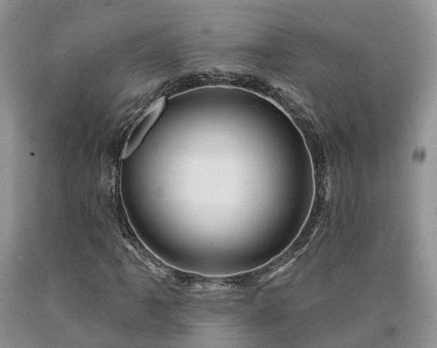 X0000090611061200707241101