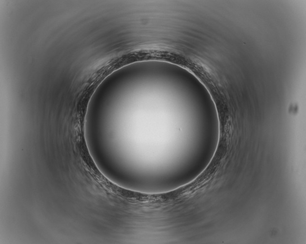 X0000090611062200707241101