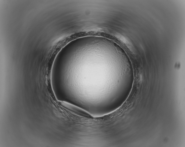 X0000090611063200707241101