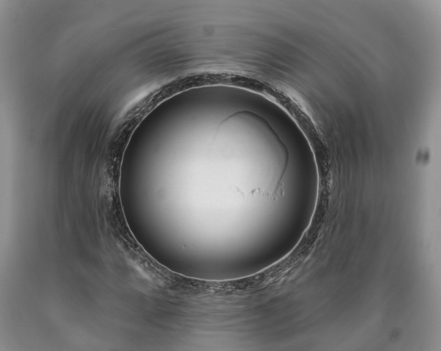 X0000090611064200707241101