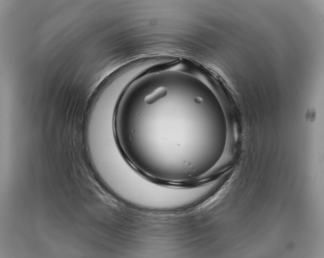 X0000090611065200707241101