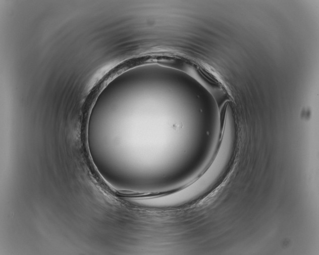 X0000090611066200707241101