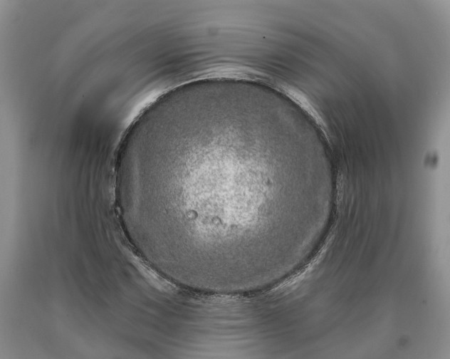 X0000090611067200707241101