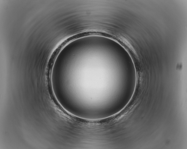 X0000090611068200707241101