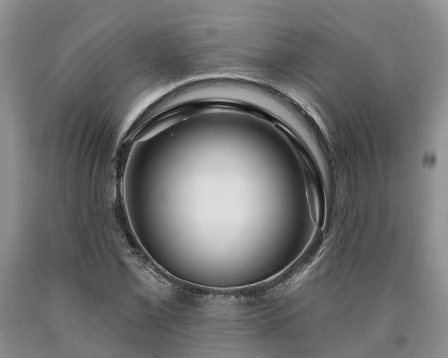 X0000090611069200707241101