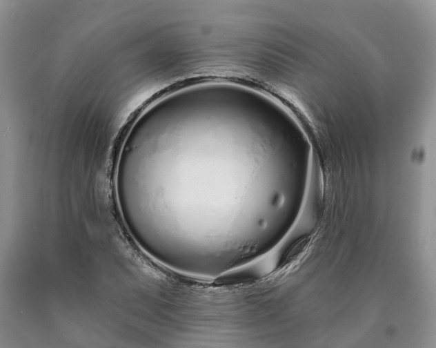 X0000090611071200707241101