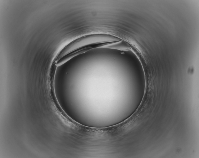 X0000090611072200707241101