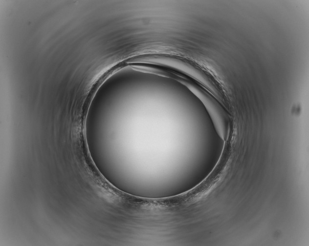 X0000090611073200707241101