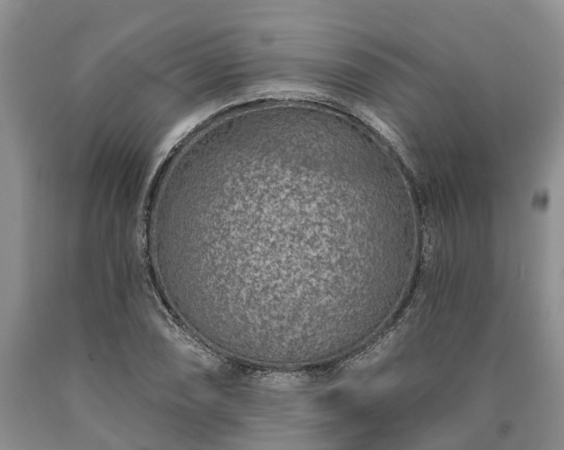 X0000090611074200707241101