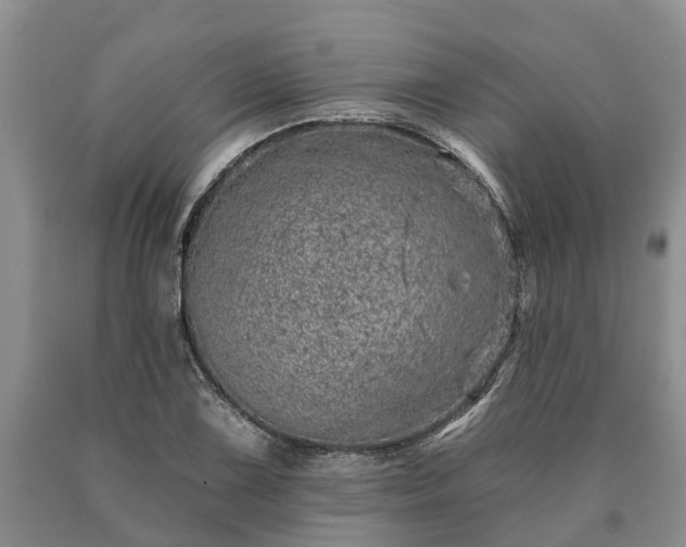 X0000090611075200707241101