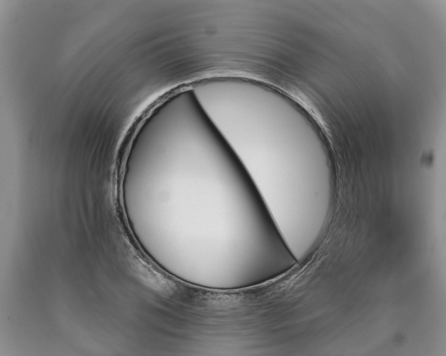 X0000090611076200707241101