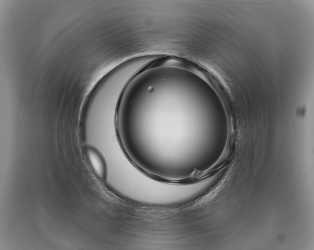 X0000090611077200707241101