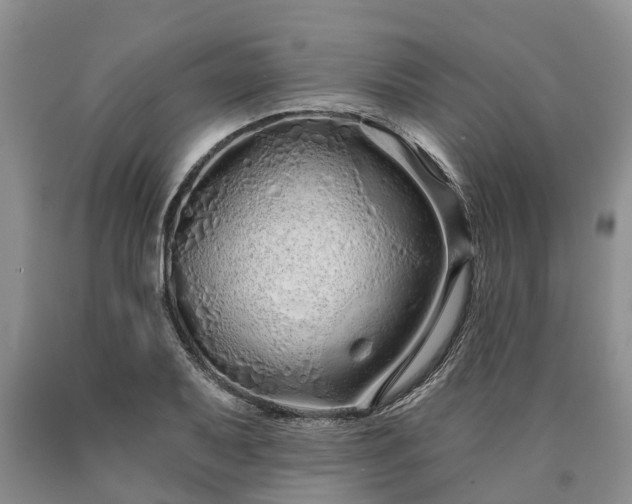 X0000090611079200707241101