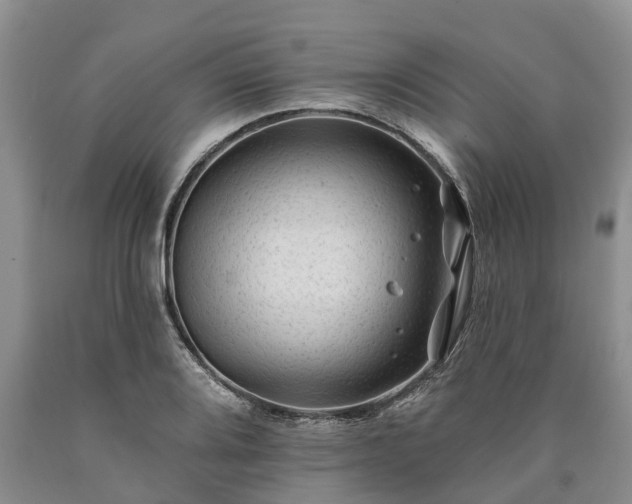 X0000090611080200707241101