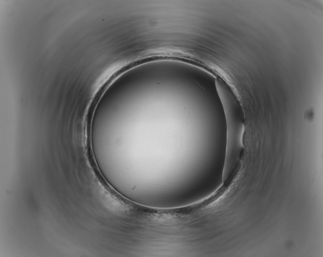 X0000090611082200707241101