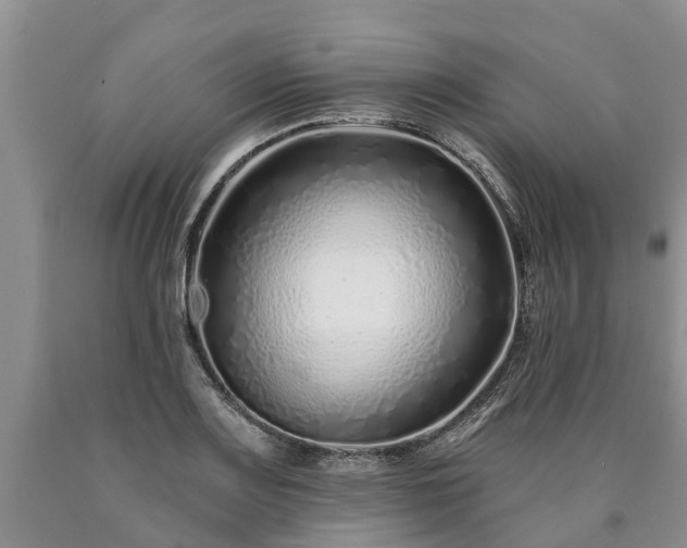 X0000090611083200707241101