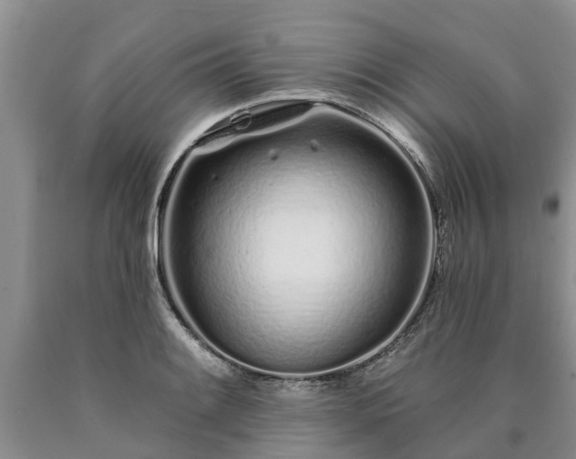 X0000090611084200707241101