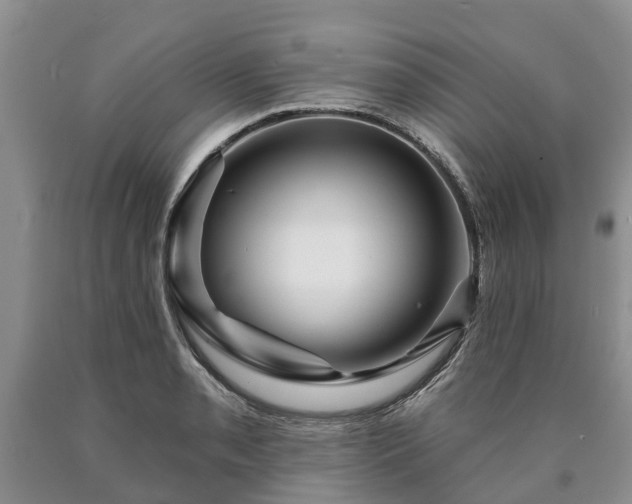 X0000090611085200707241101