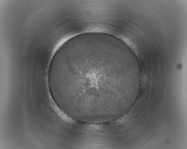 X0000090611086200707241101